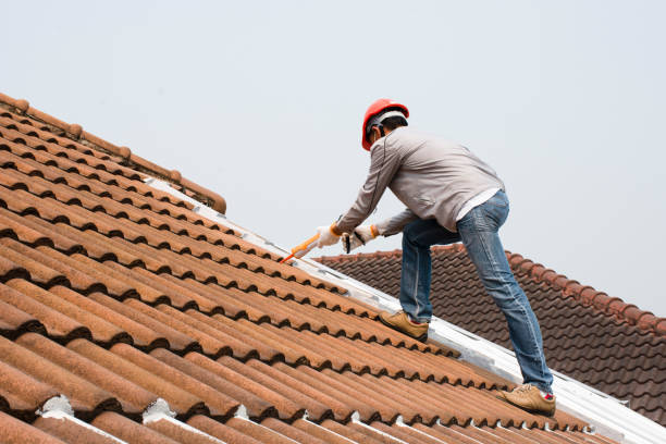 Trusted Princeton, FL Roofing servicies Experts